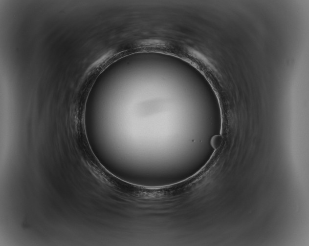 X0000086721403200704131033