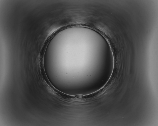 X0000086721404200704131033