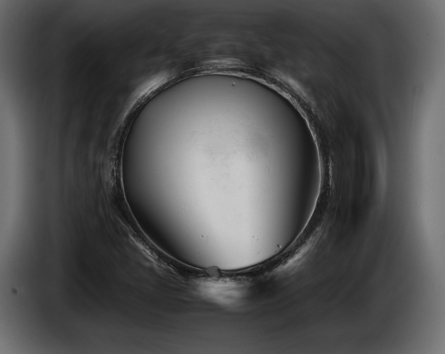 X0000086721405200704131033