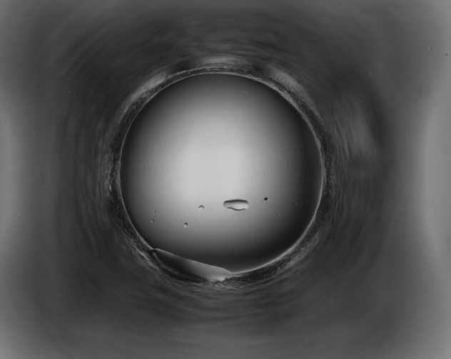 X0000086721411200704131033