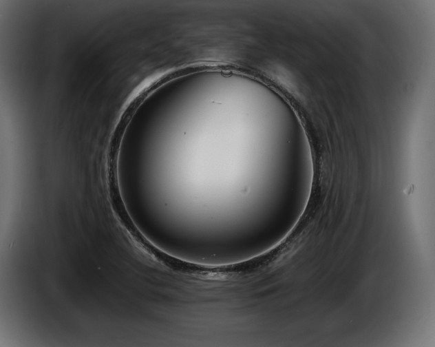 X0000086721412200704131033