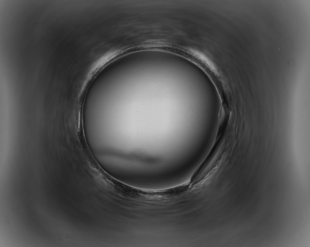 X0000086721413200704131033