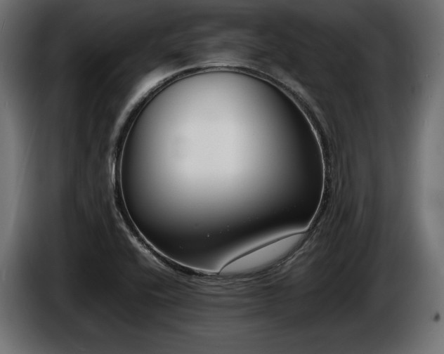 X0000086721416200704131033