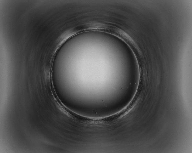 X0000086721417200704131033