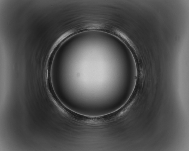 X0000086721418200704131034