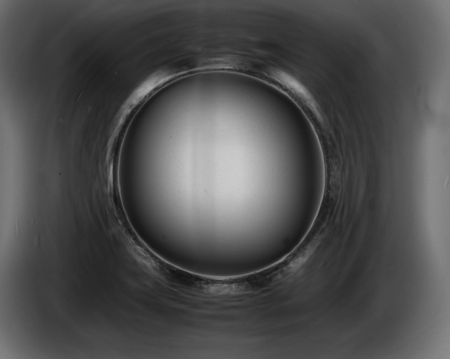X0000086721419200704131034