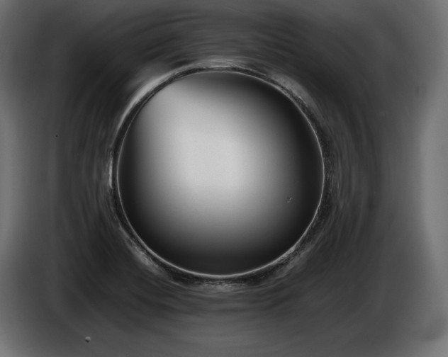 X0000086721420200704131034