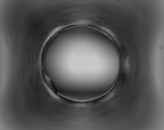 X0000086721422200704131034