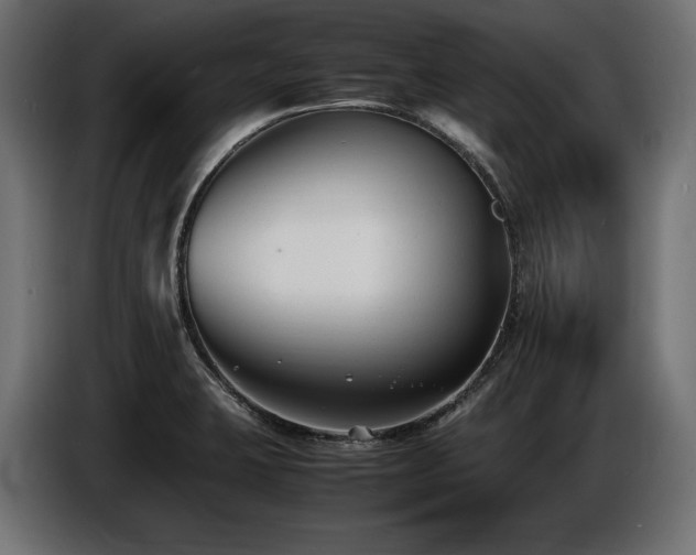 X0000086721423200704131034