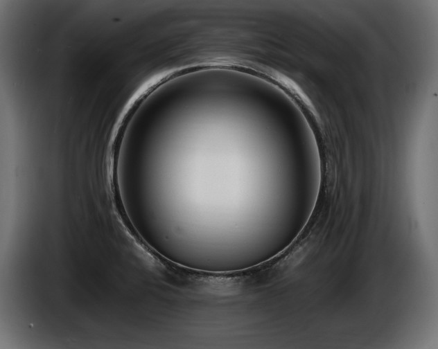 X0000086721424200704131034