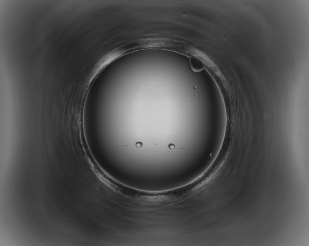 X0000086721425200704131034