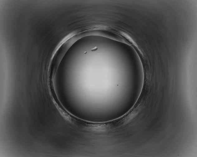 X0000086721426200704131034