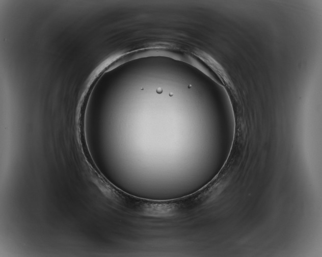 X0000086721427200704131034