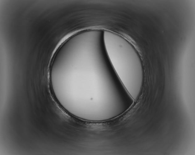 X0000086721428200704131034