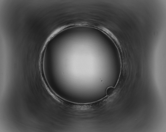 X0000086721429200704131034