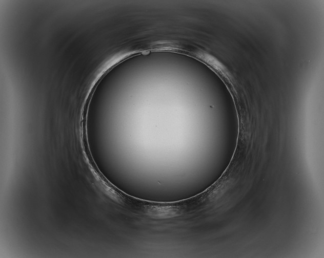 X0000086721431200704131034