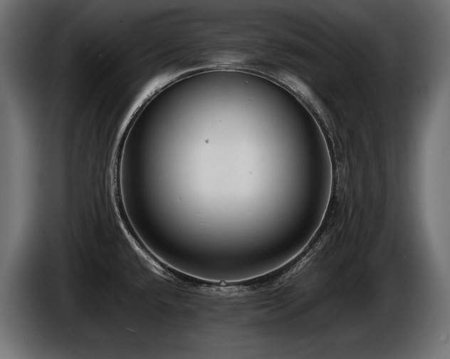 X0000086721432200704131034