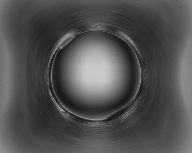 X0000086721434200704131034
