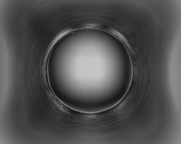 X0000086721435200704131034