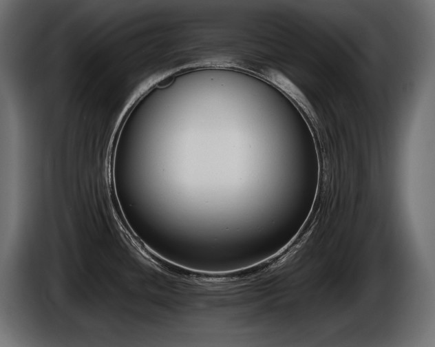 X0000086721436200704131034