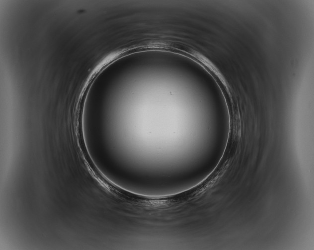 X0000086721437200704131034