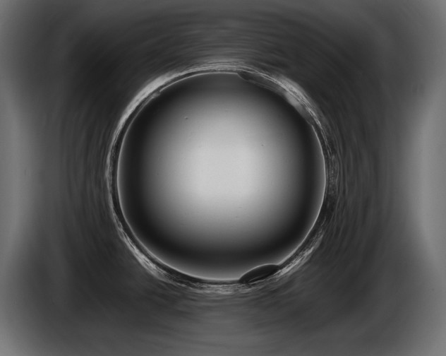 X0000086721438200704131034