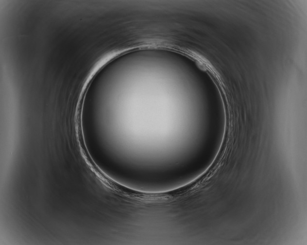 X0000086721440200704131034