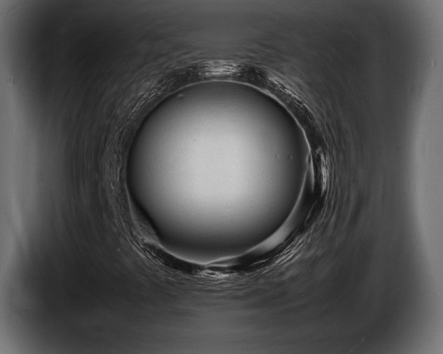 X0000086721441200704131033