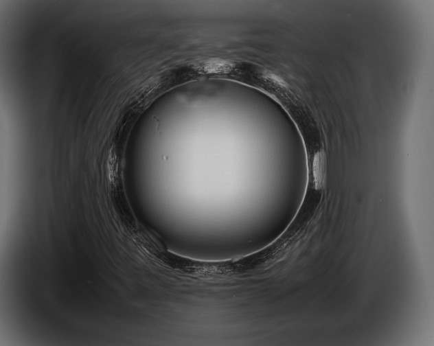 X0000086721443200704131033