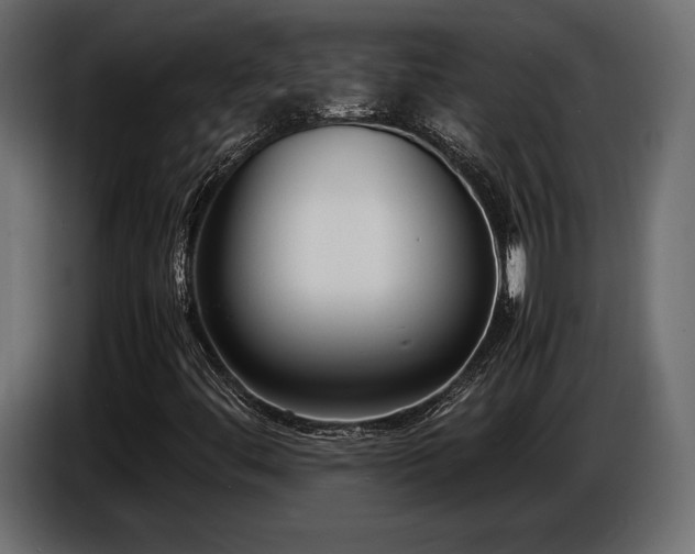 X0000086721444200704131033