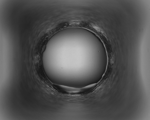 X0000086721445200704131033
