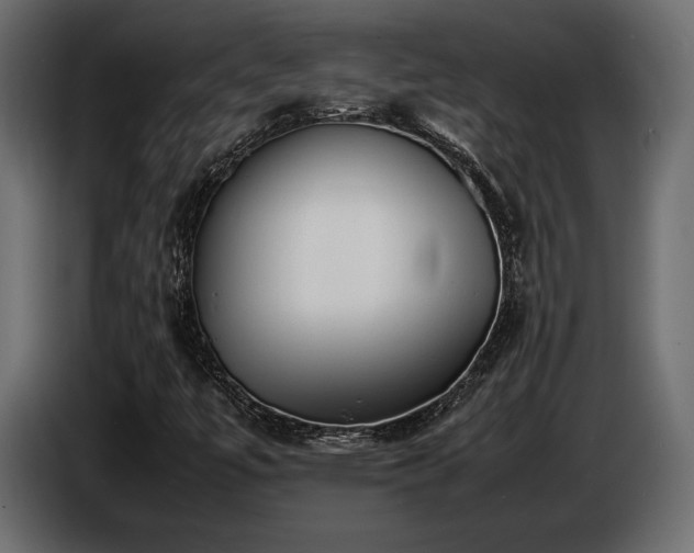 X0000086721447200704131033