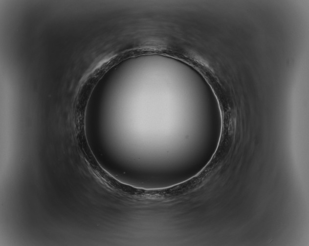 X0000086721448200704131033