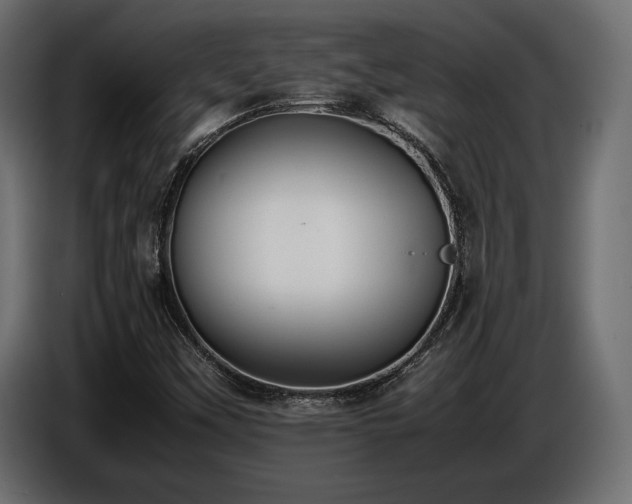 X0000086721451200704131033