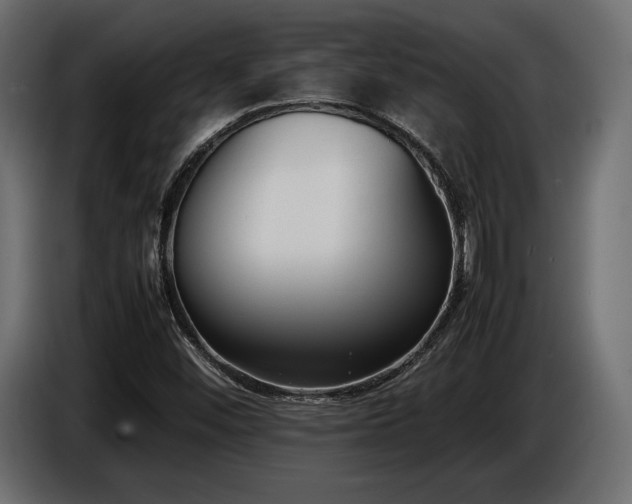 X0000086721452200704131033