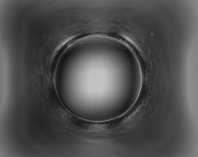 X0000086721453200704131033