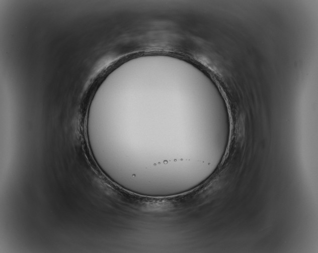 X0000086721454200704131033