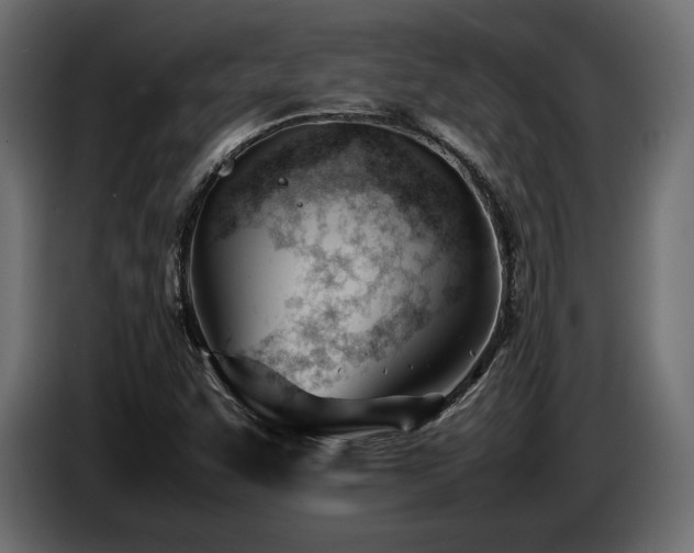 X0000086721455200704131033