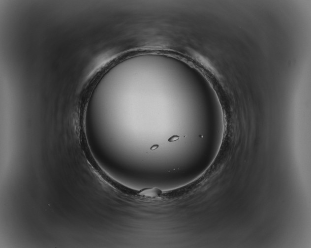 X0000086721456200704131033