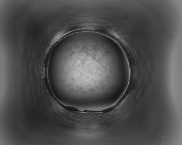 X0000086721459200704131033