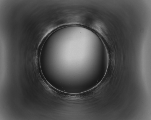 X0000086721460200704131033