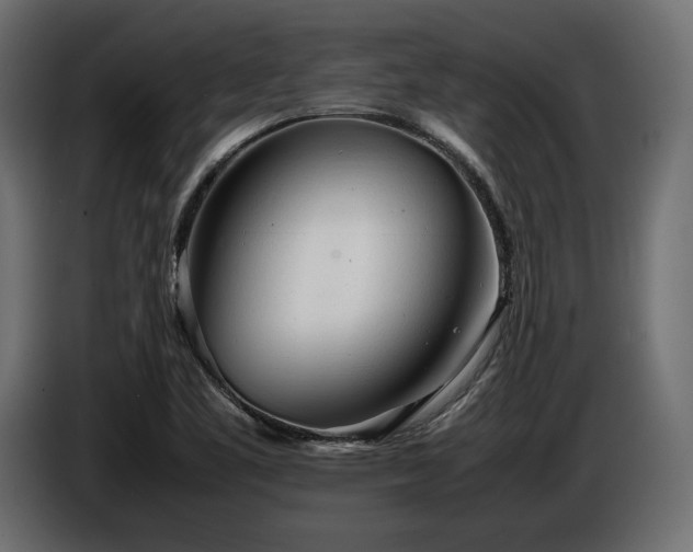 X0000086721461200704131033