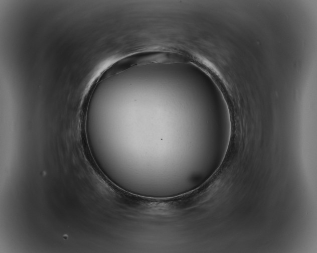 X0000086721463200704131033
