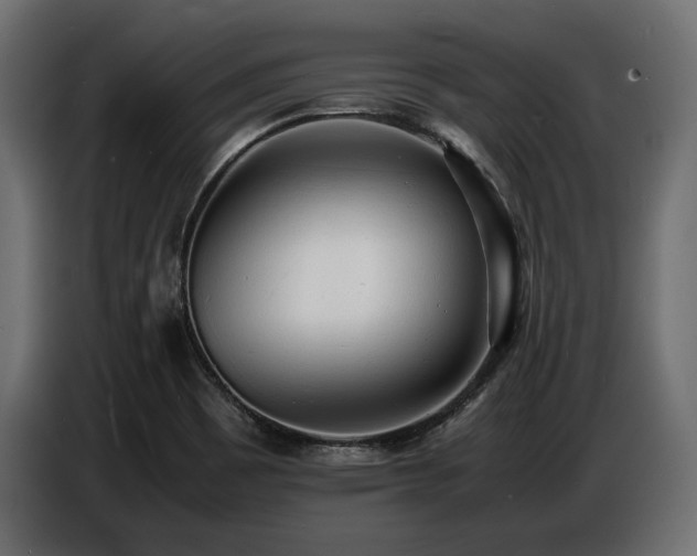 X0000086721465200704131033