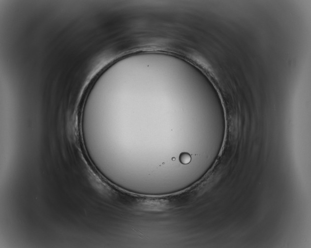 X0000086721466200704131033