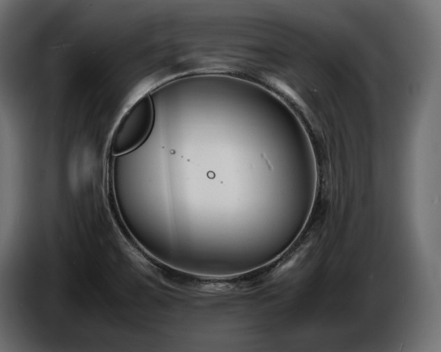 X0000086721467200704131033