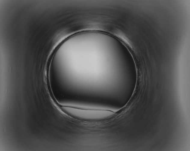 X0000086721468200704131033