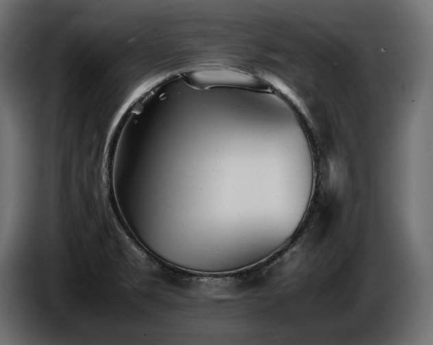 X0000086721469200704131033