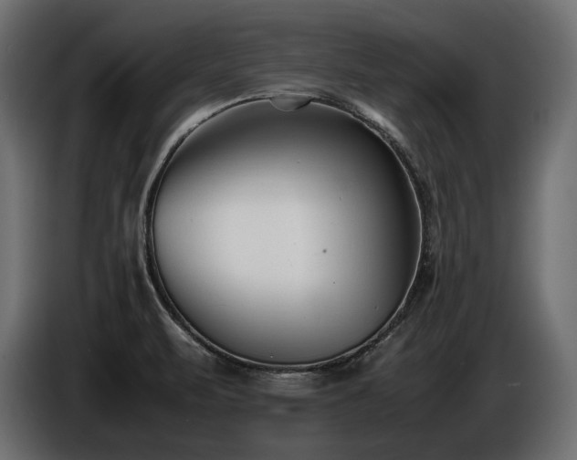 X0000086721471200704131033