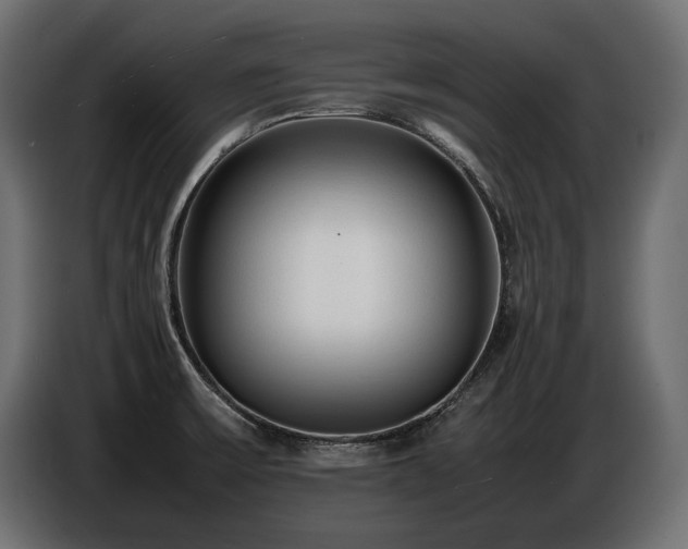 X0000086721475200704131033